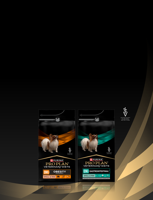 Yorkshire LP Hero Banner Mobile