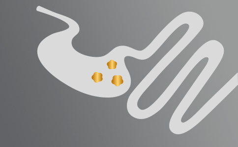 Saúde Gastrointestinal