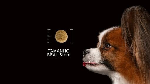 Croquetes pequenos adaptados aos cães de pequeno porte 