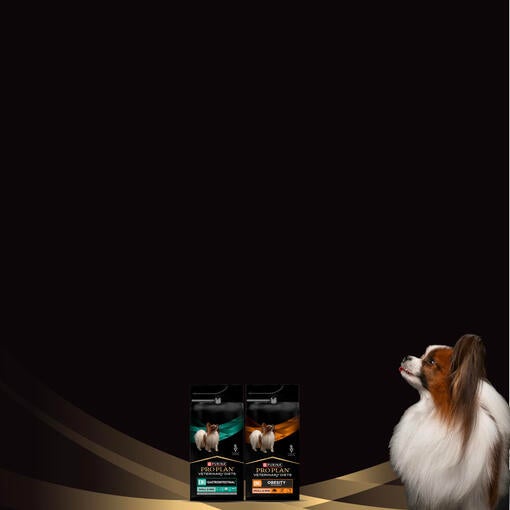 PRO PLAN® Veterinary Diets Small & Mini