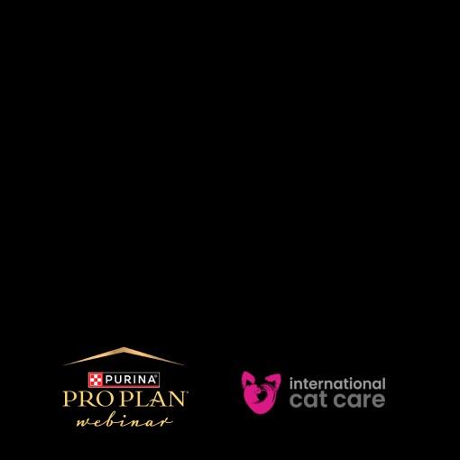 Gravação disponível - HIPERCALCEMIA EM GATOS COM DRC: COMPREENDENDO A CONDIÇÃO E SUPORTE NUTRICIONAL