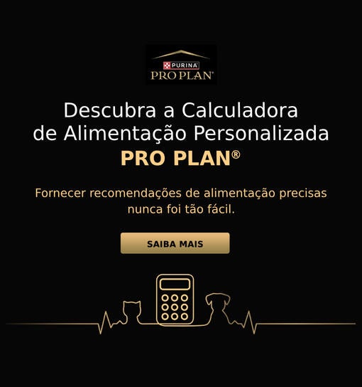 Calculadora de Alimentação Personalizada