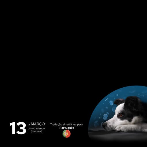 Simpósio Calming Care