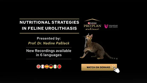 Estratégias Nutricionais na Urolitíase Felina
