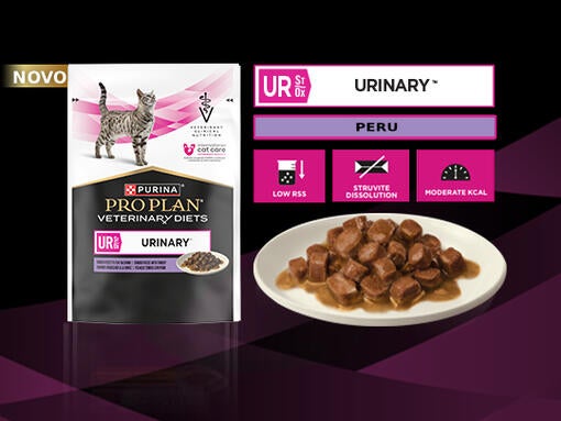 Pedaços tenros com peru