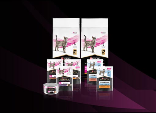 Gama de produtos para o sistema urinário felino
