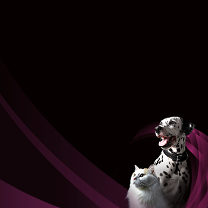 Cuidados especializados para apoiar a saúde urinária