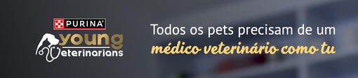 Todos os pets precisam de um médico veterinário como tu