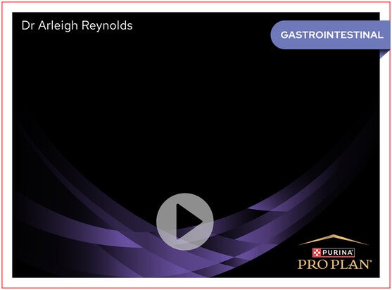 FortiFlora® | Dr. Arleigh Reynolds Fala Sobre Probióticos em Cães e Gatos