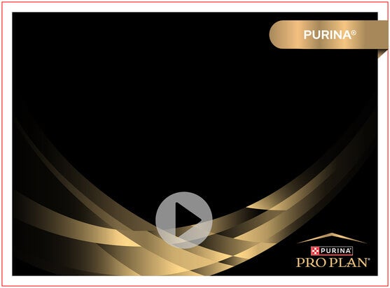 Purina® Better with Pets Summit 2016