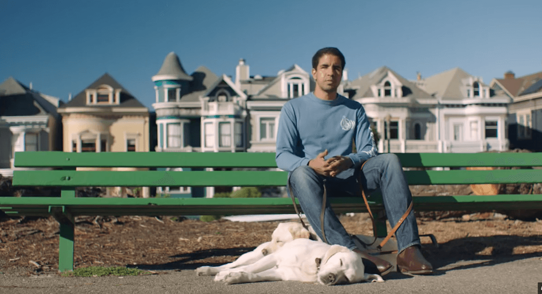 How Nutrition Can Change a Guide Dog's Life